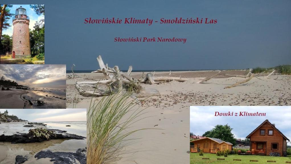 Domek Z Klimatem Smoldzinski Las Exterior photo
